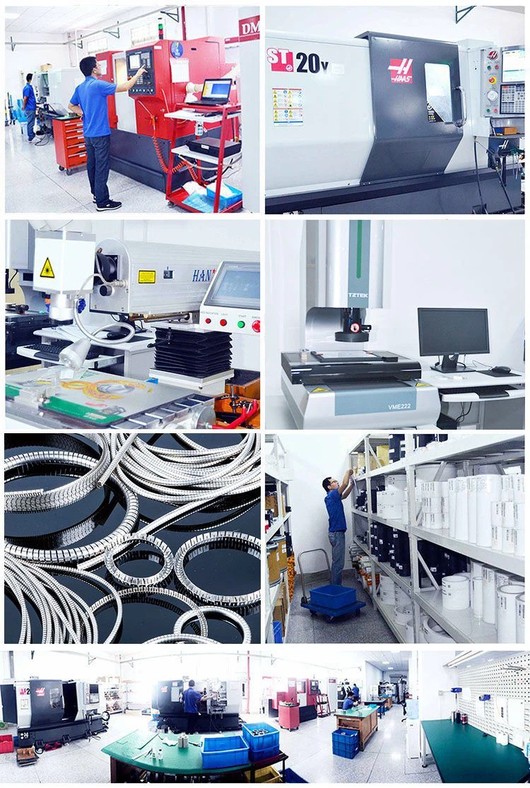 spring energized c seal