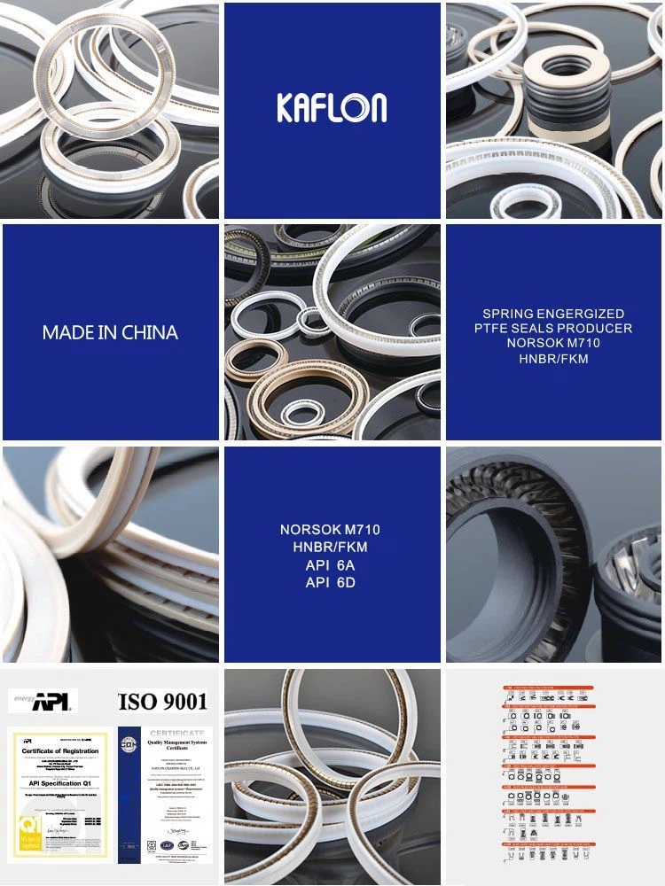 spring energized seal ring