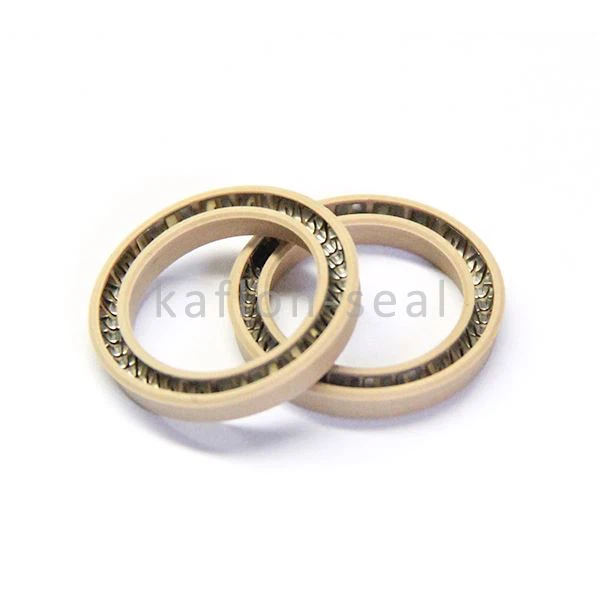 Potassium Chloride Resistant Spring PTFE Seal