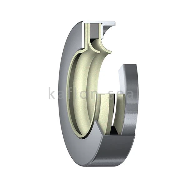 Rotary PTFE Lips Stainless Oil Seal