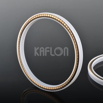 low temperature application TFM Helical Spring Energized Seal