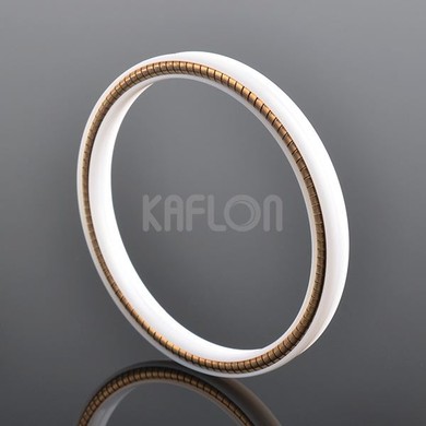 low temperature application TFM Helical Spring Energized Seal