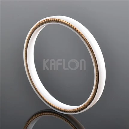 PTFE Spring Activated Rotary Shaft Seal