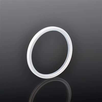 PTFE Spring Energized Pump Lip Seal