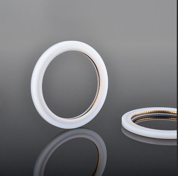Polymer Spring Energized Face Seal