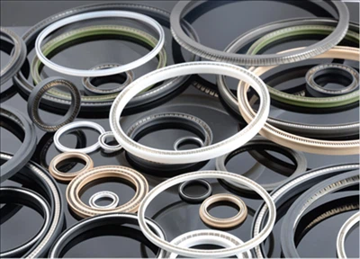 U Spring Energized Lip Seals For Valve